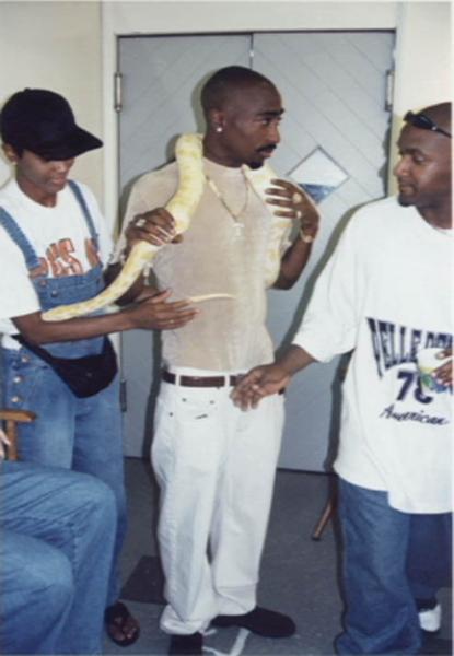 makaveli